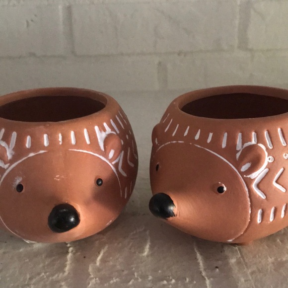 Other - Set of 2 Porcupine Planters New